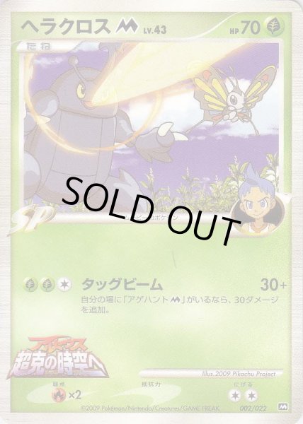 Photo1: Heracross M 002/022 (1)