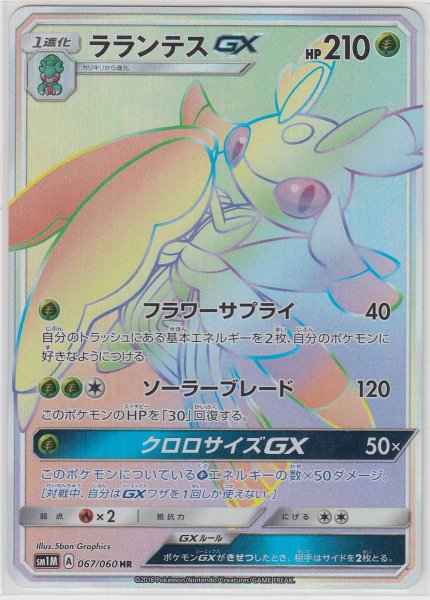 Photo1: Lurantis GX 067/060 SM1M (1)