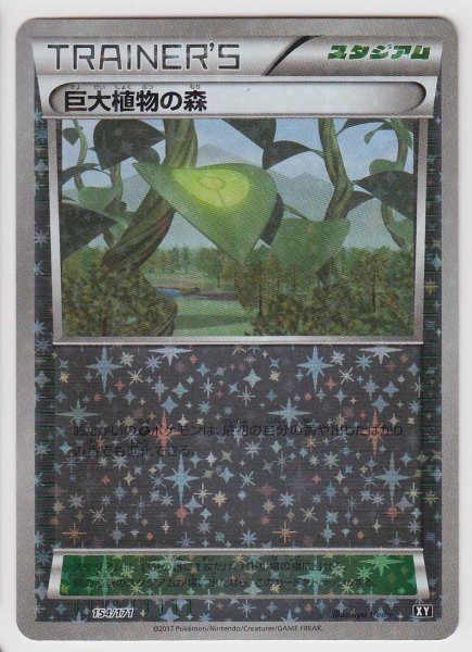 Photo1: Forest of Giant Plants 154/171 XY *Reverse Holo* (1)