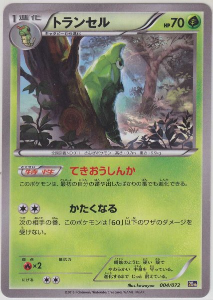 Photo1: Metapod 004/072 20th (1)