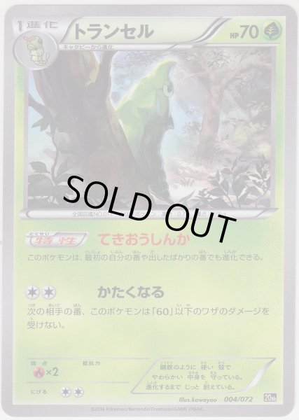 Photo1: Metapod 004/072 20th (1)