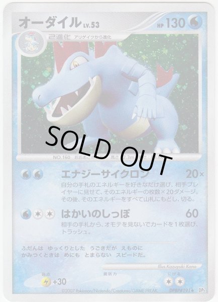 Photo1: Feraligatr DPBP#191 (1)