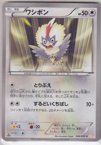 Photo1: Rufflet 046/050 BW5 1st   (1)