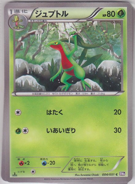 Photo1: Grovyle 004/051 BW8 1st   (1)