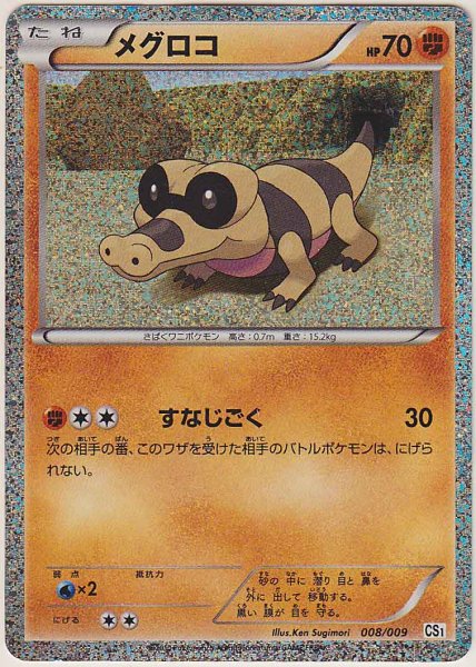 Photo1: Sandile 008/009 CS1 (O Collection Sheet) (1)