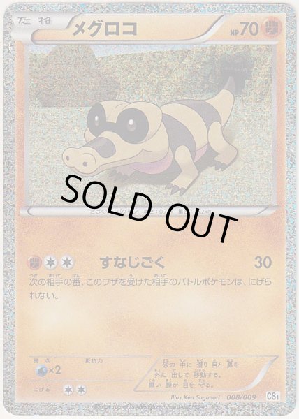 Photo1: Sandile 008/009 CS1 (O Collection Sheet) (1)