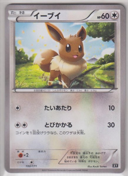 Photo1: Eevee 100/171 XY (1)