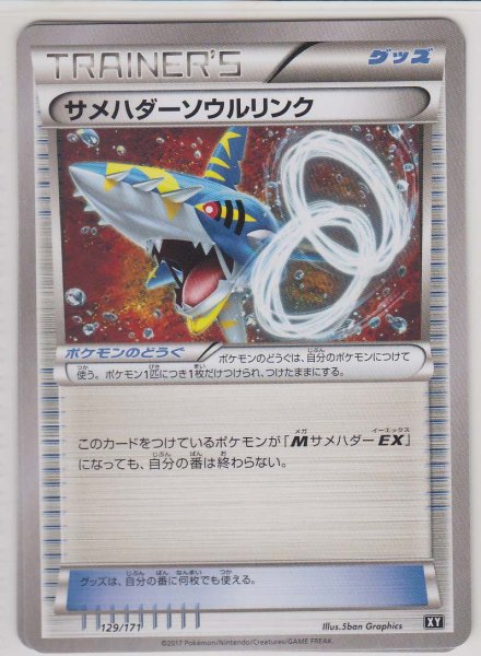 Photo1: Sharpedo Spirit Link 129/171 XY (1)