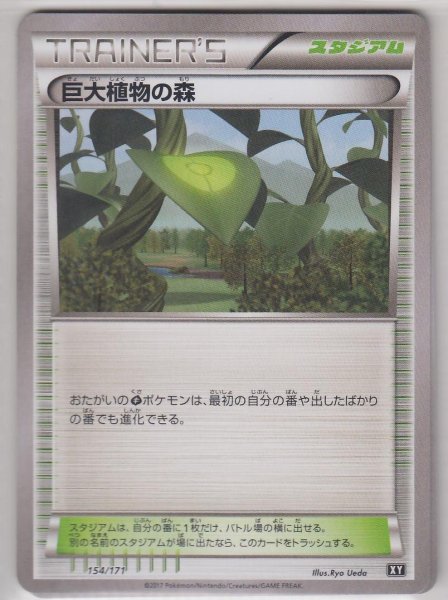 Photo1: Forest of Giant Plants 154/171 XY (1)