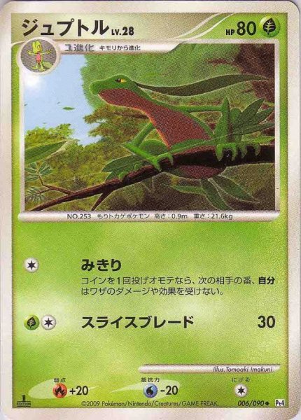 Photo1: Grovyle 006/090 Pt4 1st (1)