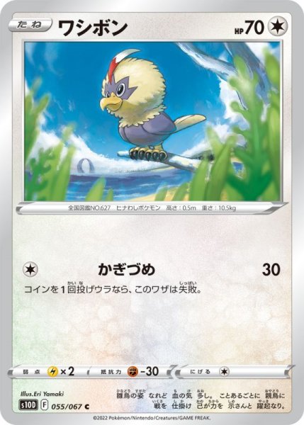 Photo1: Rufflet 055/067 S10D (1)