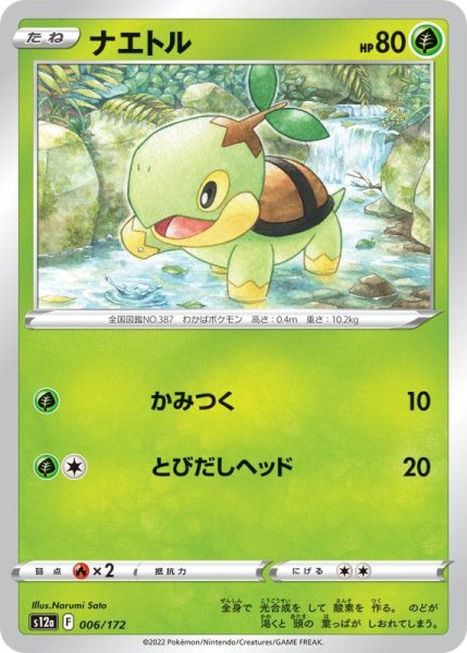 Photo1: Turtwig 006/172 S12a (1)