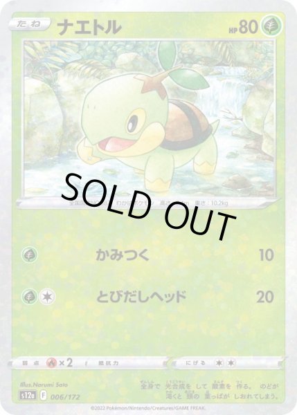 Photo1: Turtwig 006/172 S12a *Reverse Holo* (1)