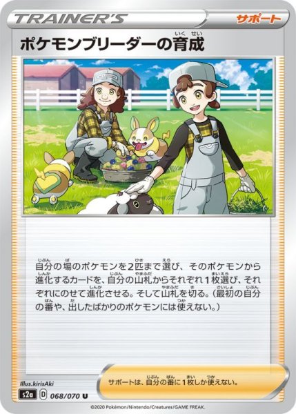 Photo1: Pokemon Breeder's Training 068/070  S2a (1)