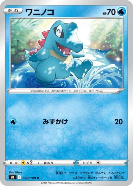 Photo1: Totodile 020/100 S8 (1)