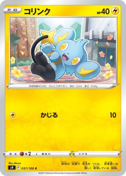 Photo1: Shinx 037/100 S9 (1)