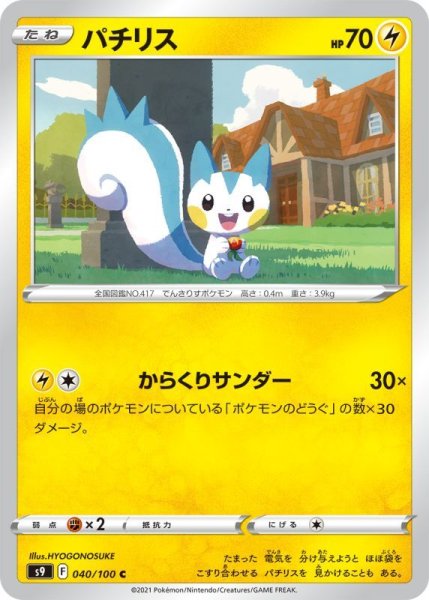 Photo1: Pachirisu 040/100 S9 (1)