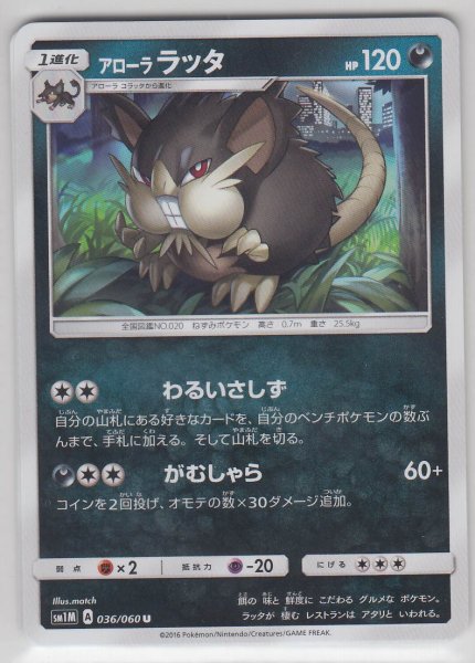 Photo1: Alolan Raticate 036/060 SM1M (1)