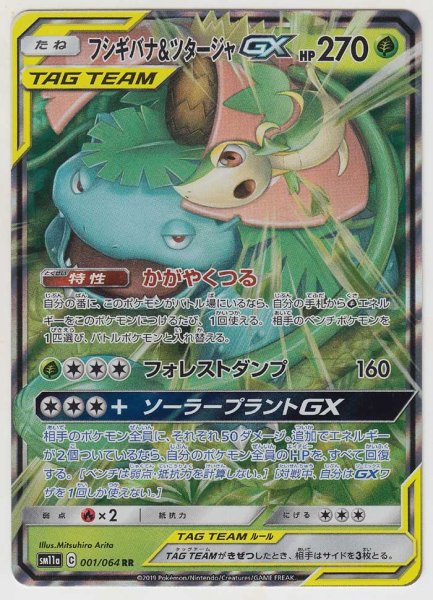 Photo1: Venusaur & Snivy GX 001/064 SM11a (1)