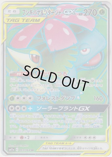 Photo1: Venusaur & Snivy GX 065/064 SM11a (1)