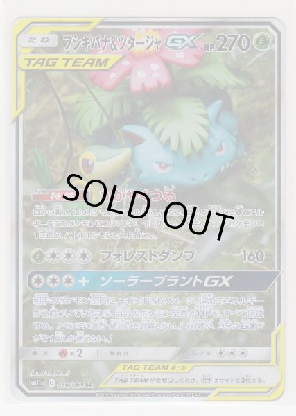 Photo1: Venusaur & Snivy GX 066/064 SM11a (1)