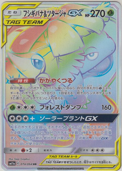 Photo1: Venusaur & Snivy GX 074/064 SM11a (1)