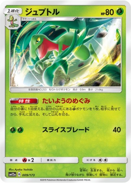 Photo1: Grovyle 009/173 SM12a (1)