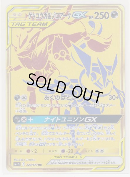 Photo1: Greninja & Zoroark GX 223/173 SM12a (1)