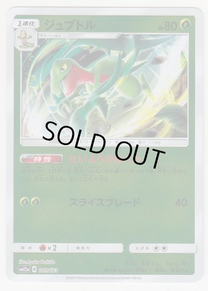 Photo1: Grovyle *Reverse Holo* 009/173 SM12a (1)