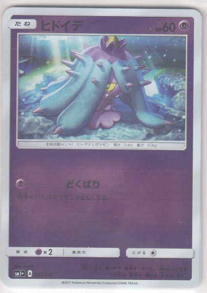 Photo1: Mareanie 025/051 SM1+ (1)