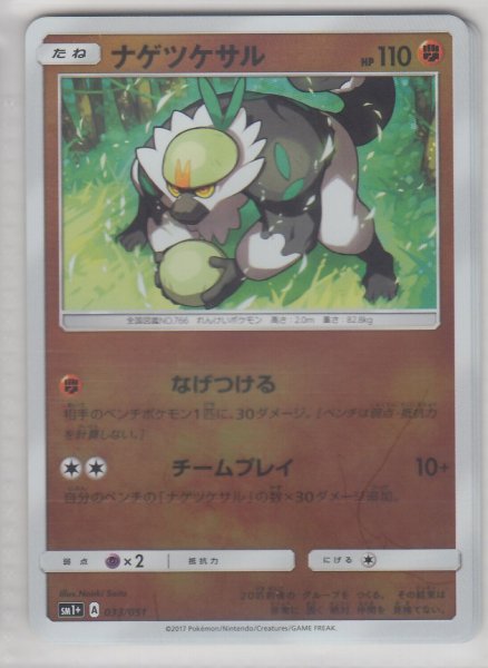 Photo1: Passimian 033/051 SM1+ (1)