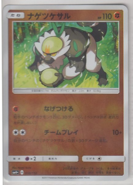 Photo1: Passimian 058/114 SM4+ (1)