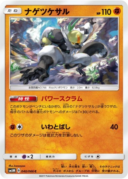 Photo1: Passimian 040/066 SM5M (1)