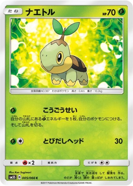 Photo1: Turtwig 005/066 SM5S (1)