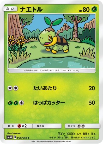 Photo1: Turtwig 006/066 SM5S (1)