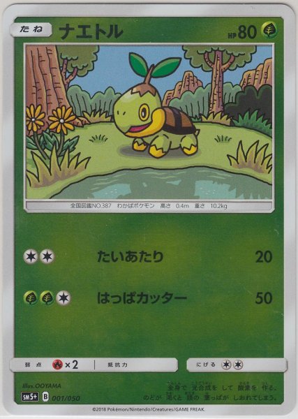 Photo1: Turtwig 001/050 SM5+ (1)