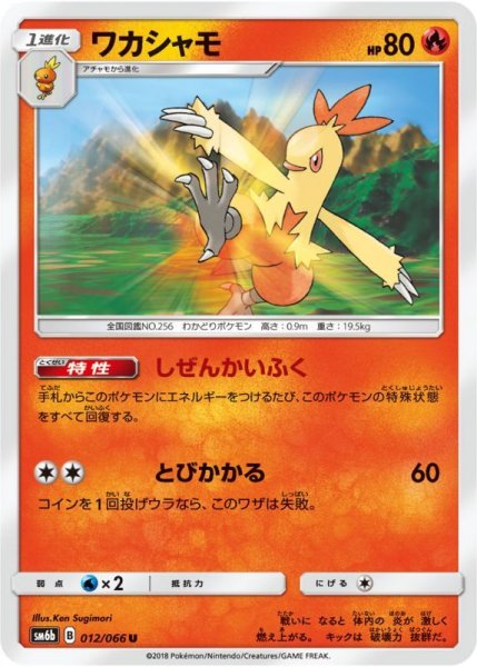 Photo1: Combusken 012/066 SM6b (1)