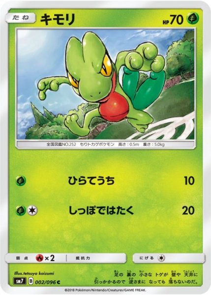 Photo1: Treecko 002/096 SM7 (1)