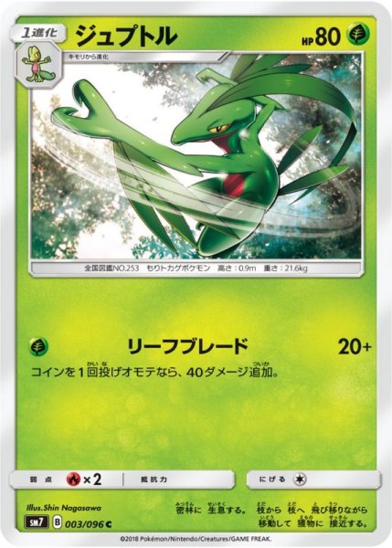 Photo1: Grovyle 003/096 SM7 (1)