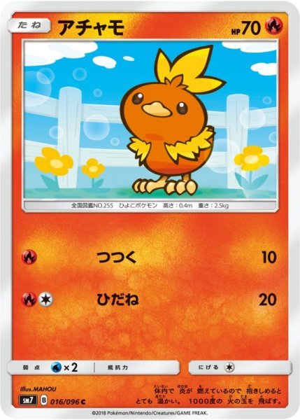 Photo1: Torchic 016/096 SM7 (1)