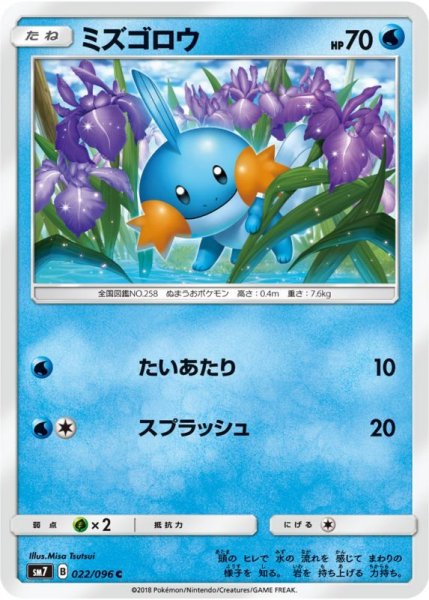 Photo1: Mudkip 022/096 SM7 (1)