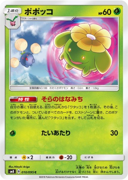 Photo1: Skiploom 010/095 SM8 (1)