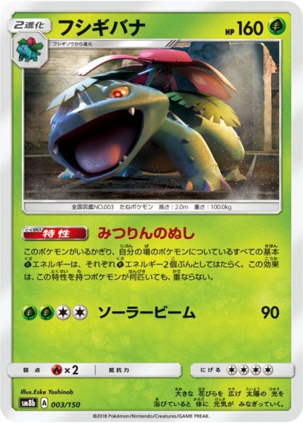 Photo1: Venusaur 003/150 SM8b (1)