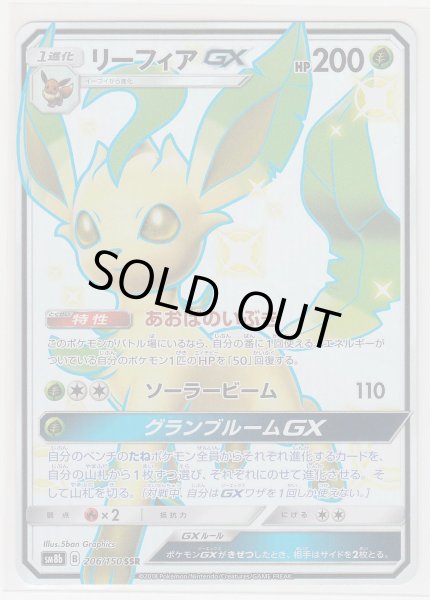 Photo1: Leafeon GX 206/150 SM8b (1)