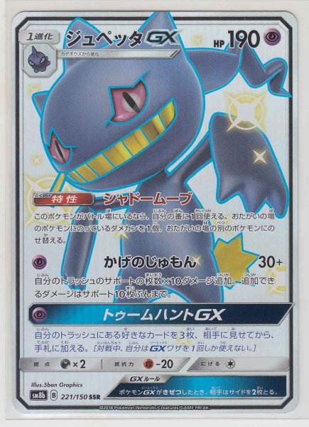 Photo1: Banette GX 221/150 SM8b (1)