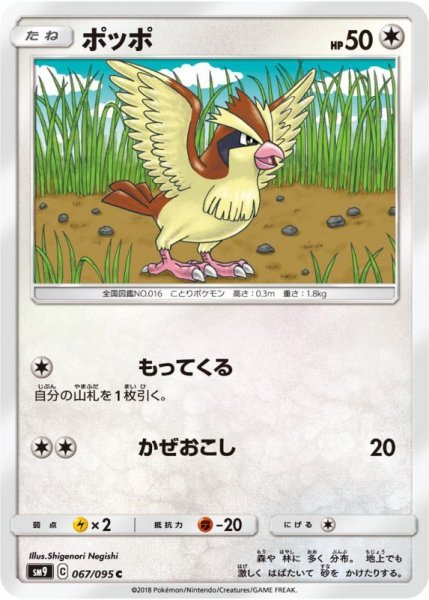 Photo1: Pidgey 067/095 SM9 (1)