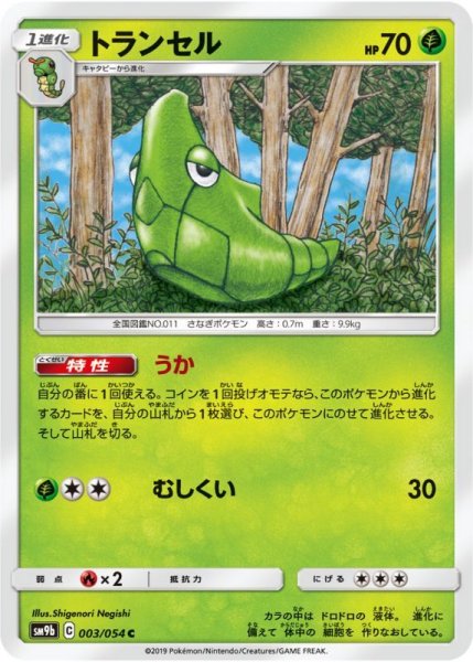 Photo1: Metapod 003/054 SM9b (1)