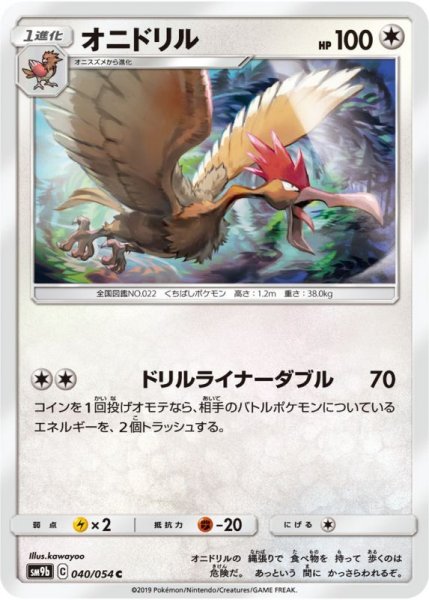 Photo1: Fearow 040/054 SM9b (1)