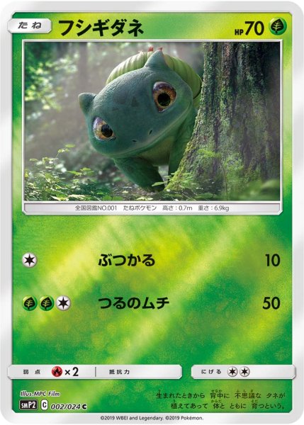 Photo1: Bulbasaur 002/024 SMP2 (1)