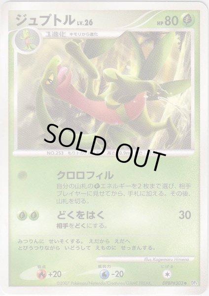 Photo1: Grovyle DPBP#303 (1)